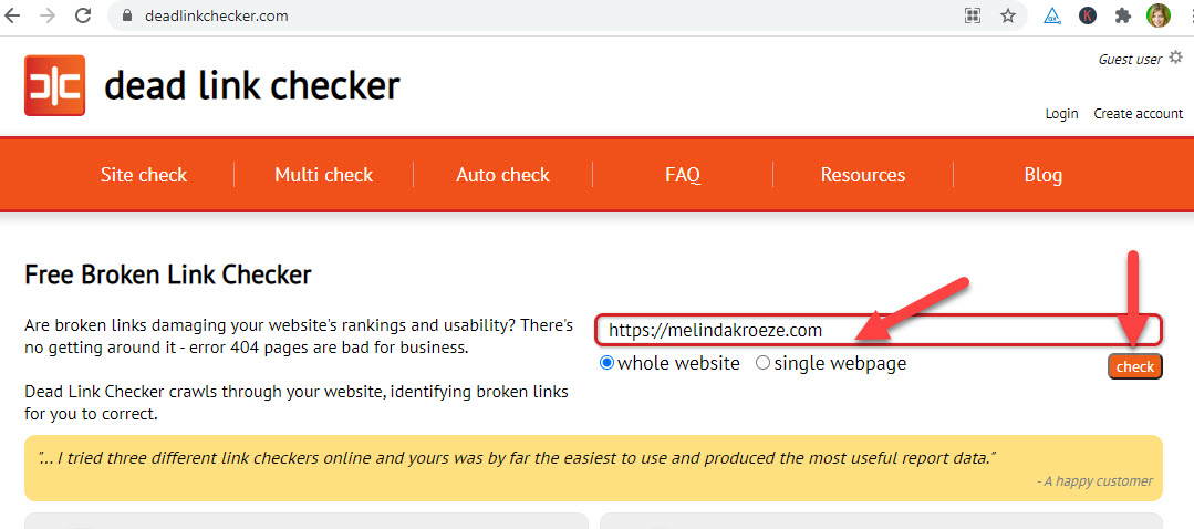 Dead link checker screenshot